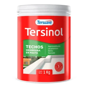 Tersinol Techo Membrana en Pasta x 1 kgs