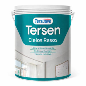 Tersen Cielos Rasos x 4 lts
